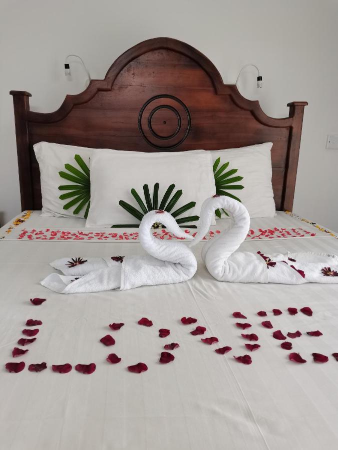 Nebula Residence Negombo Extérieur photo