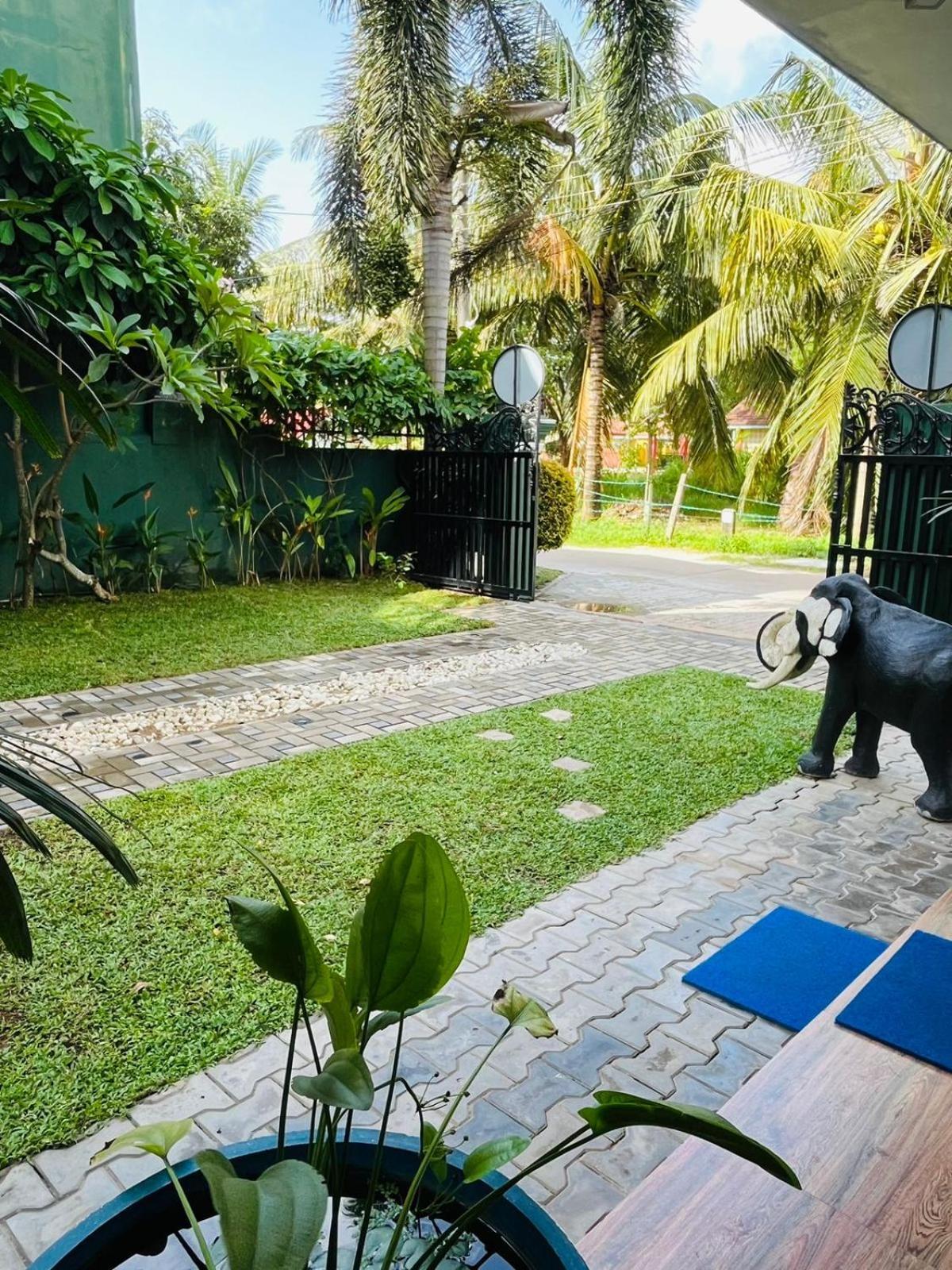 Nebula Residence Negombo Extérieur photo